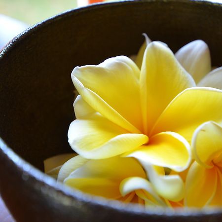 The Ulin Villas And Spa - By Karaniya Experience - Chse Certified Seminyak Exteriör bild