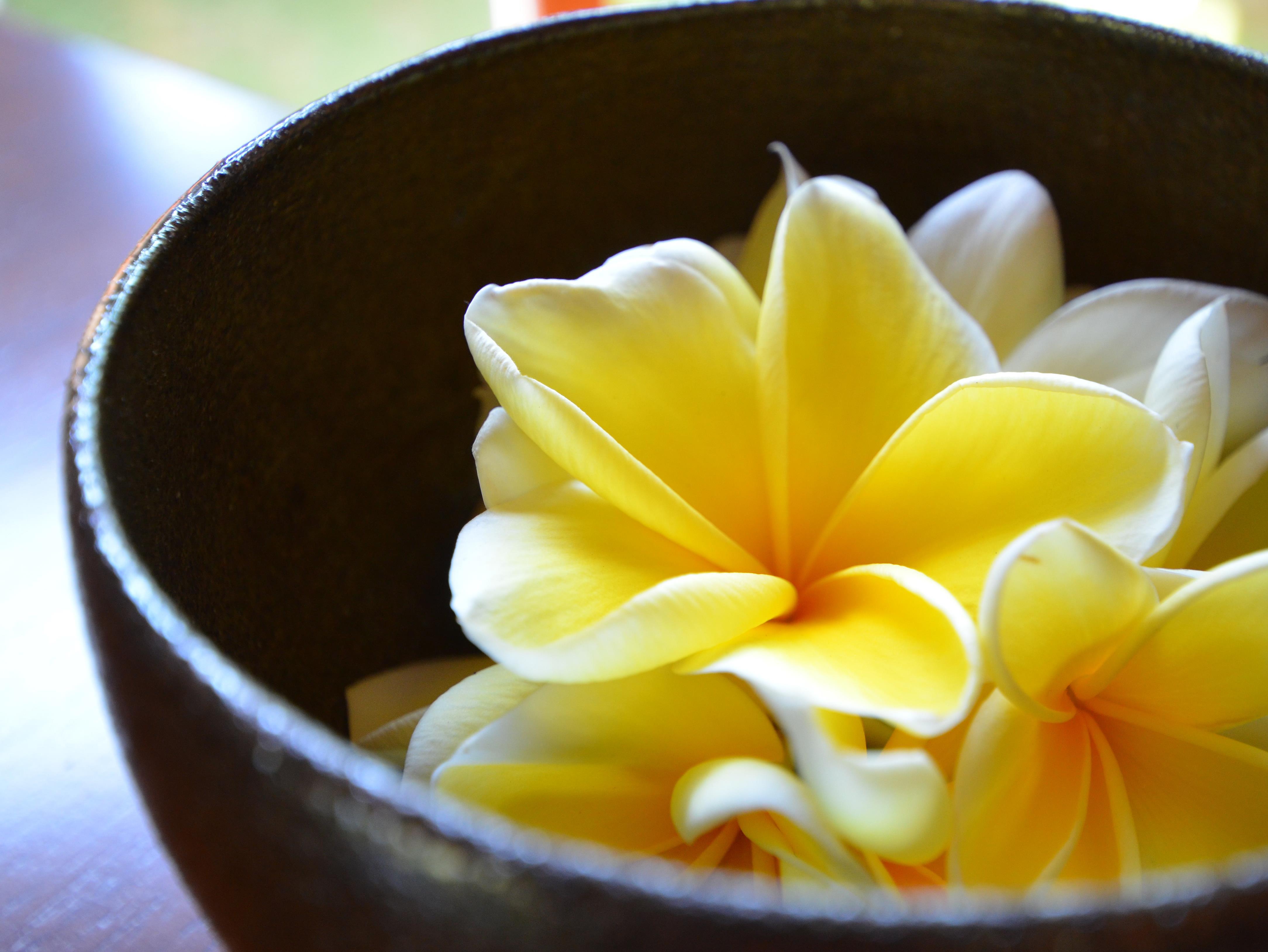 The Ulin Villas And Spa - By Karaniya Experience - Chse Certified Seminyak Exteriör bild